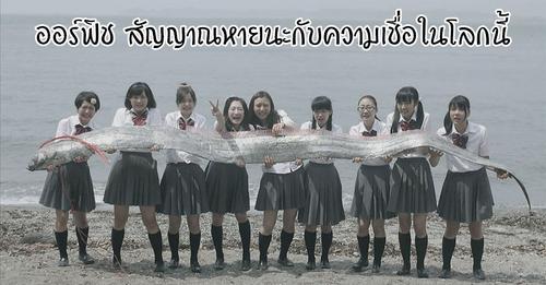 พญานาคคือปลาออร์ฟิช